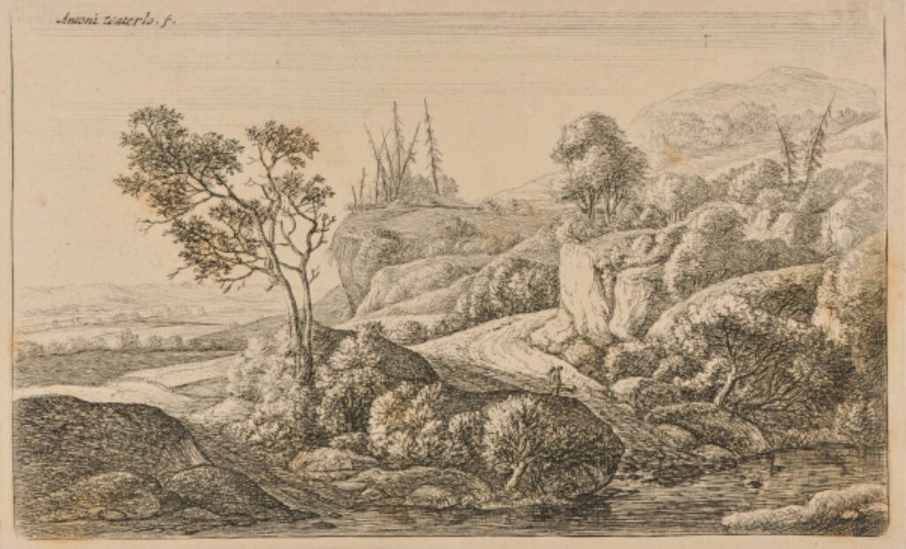 Paths Leading to a Stream