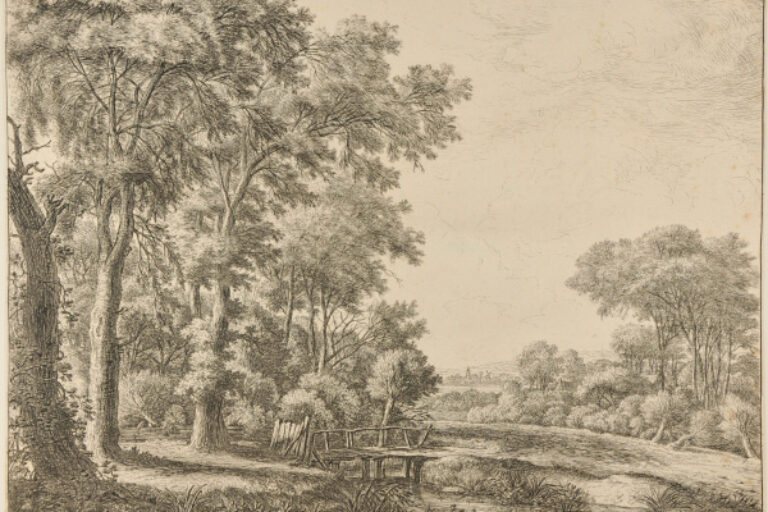 THE ENTRANCE TO A FOREST BY A SMALL WOODEN BRIDGE