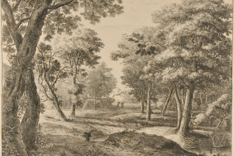 A PATH THROUGH THE WOODS