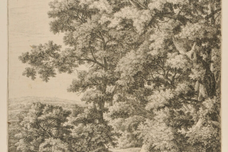 A DOG DRINKING FROM A STREAM