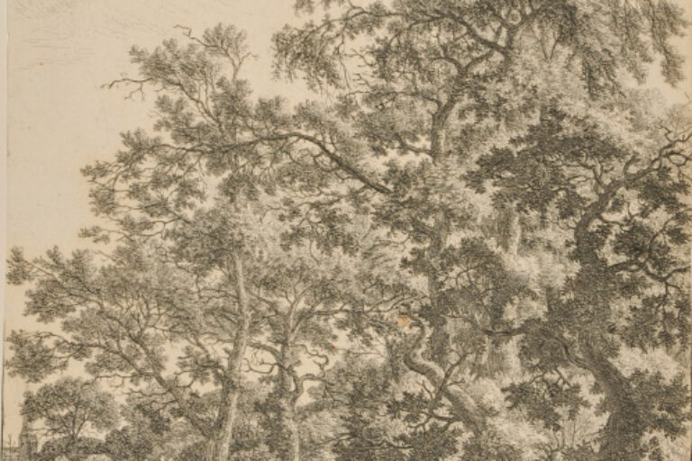 A SMALL BRIDGE OVER A STREAM