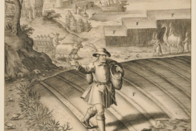THE PARABLE OF THE SOWER