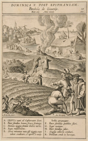 Dominica V post epiphanian parabola de zizanijs