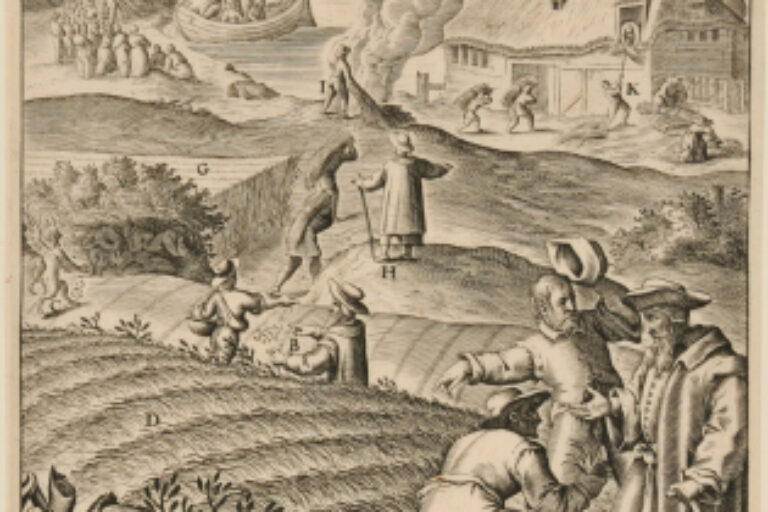 THE PARABLE OF THE WHEAT AND THE TARES