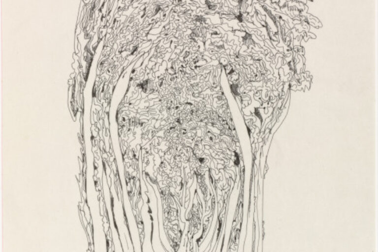 CHINESE CABBAGE