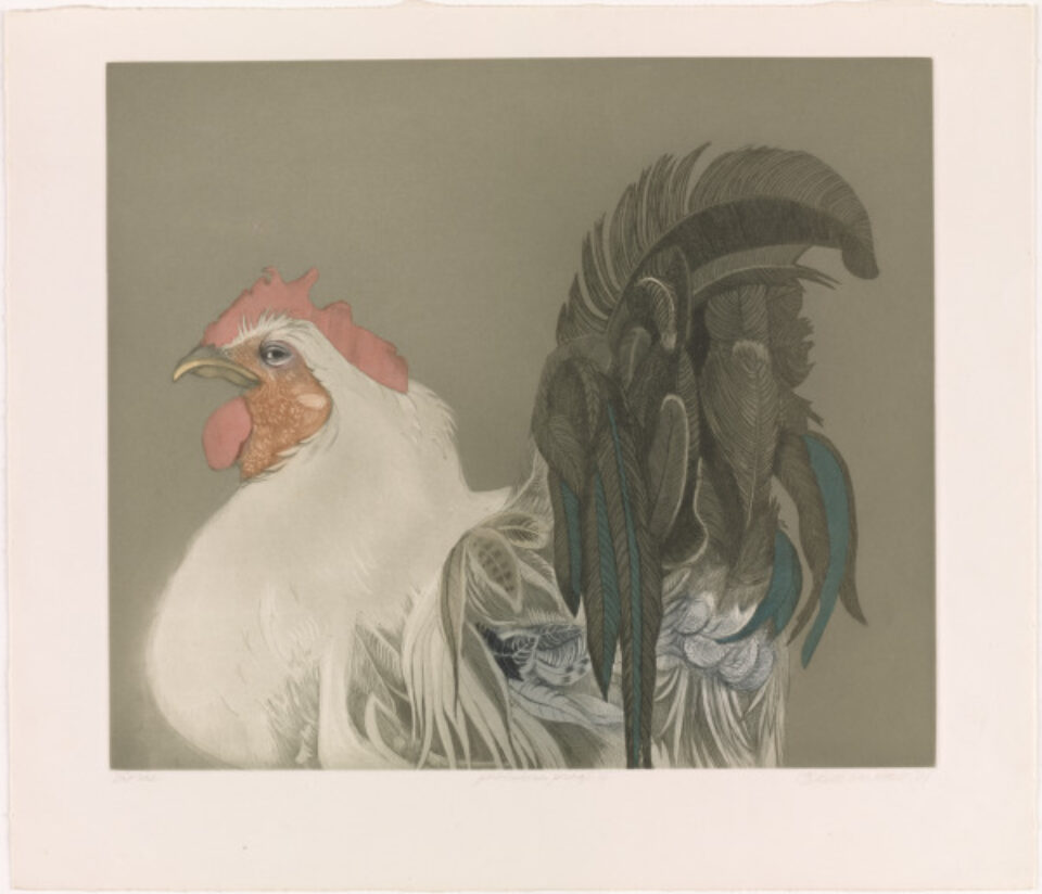 Achenbach Foundation for the Graphic Arts, Museums of the Fine Arts, San Francisco