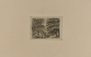 Two people walking in woods