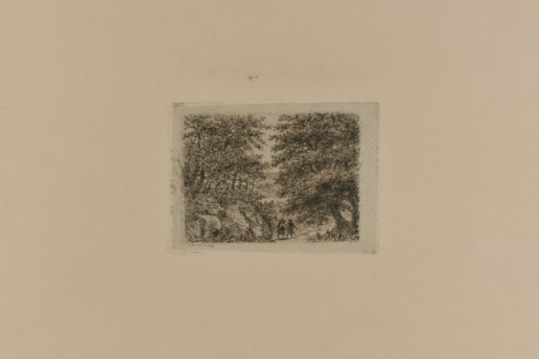 TWO PEOPLE WALKING IN WOODS