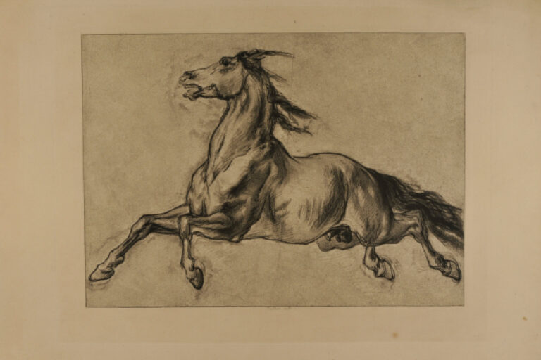 HORSE