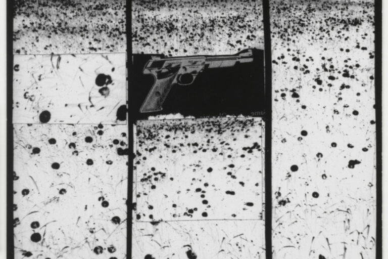 GUN IN LANDSCAPE: DAISIES