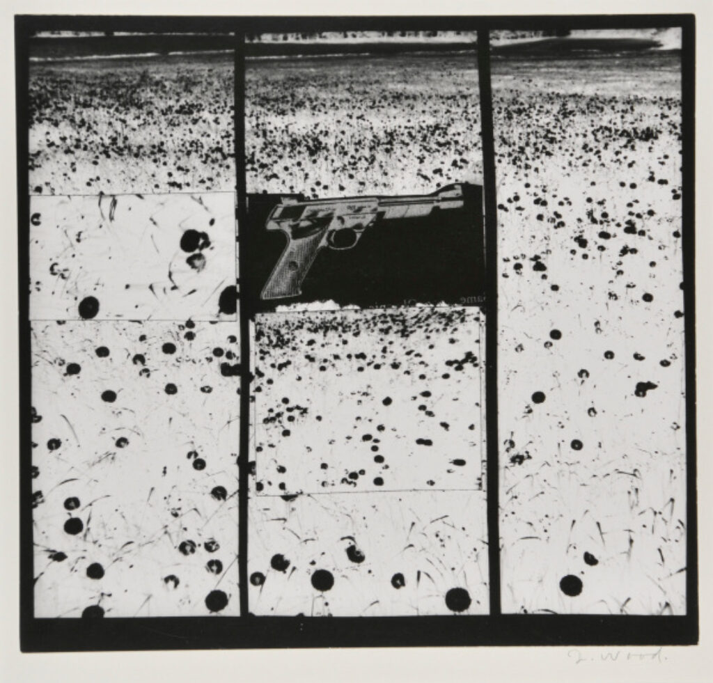 Gun in Landscape: Daisies - Image 2