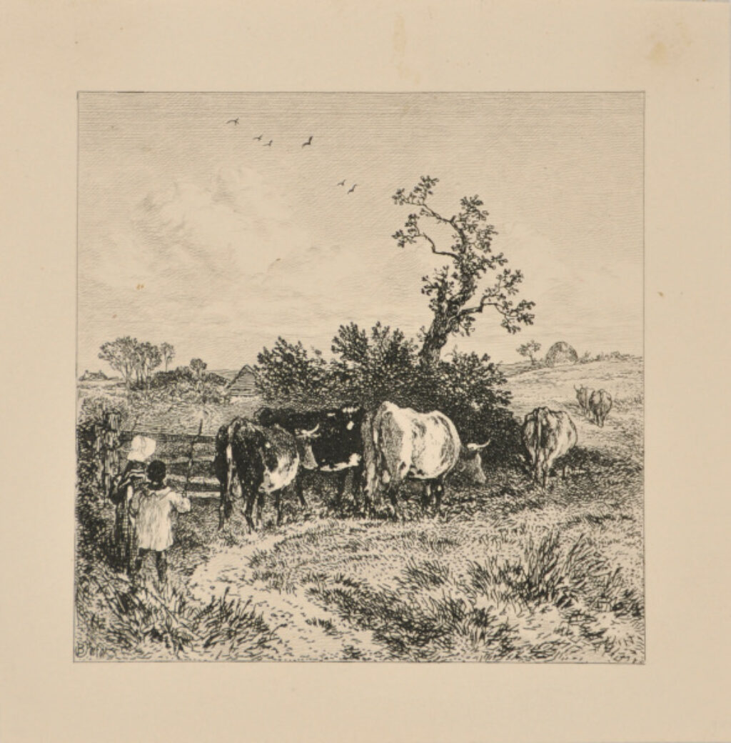 Girl and Boy Driving Cattle to Pasture - Image 2