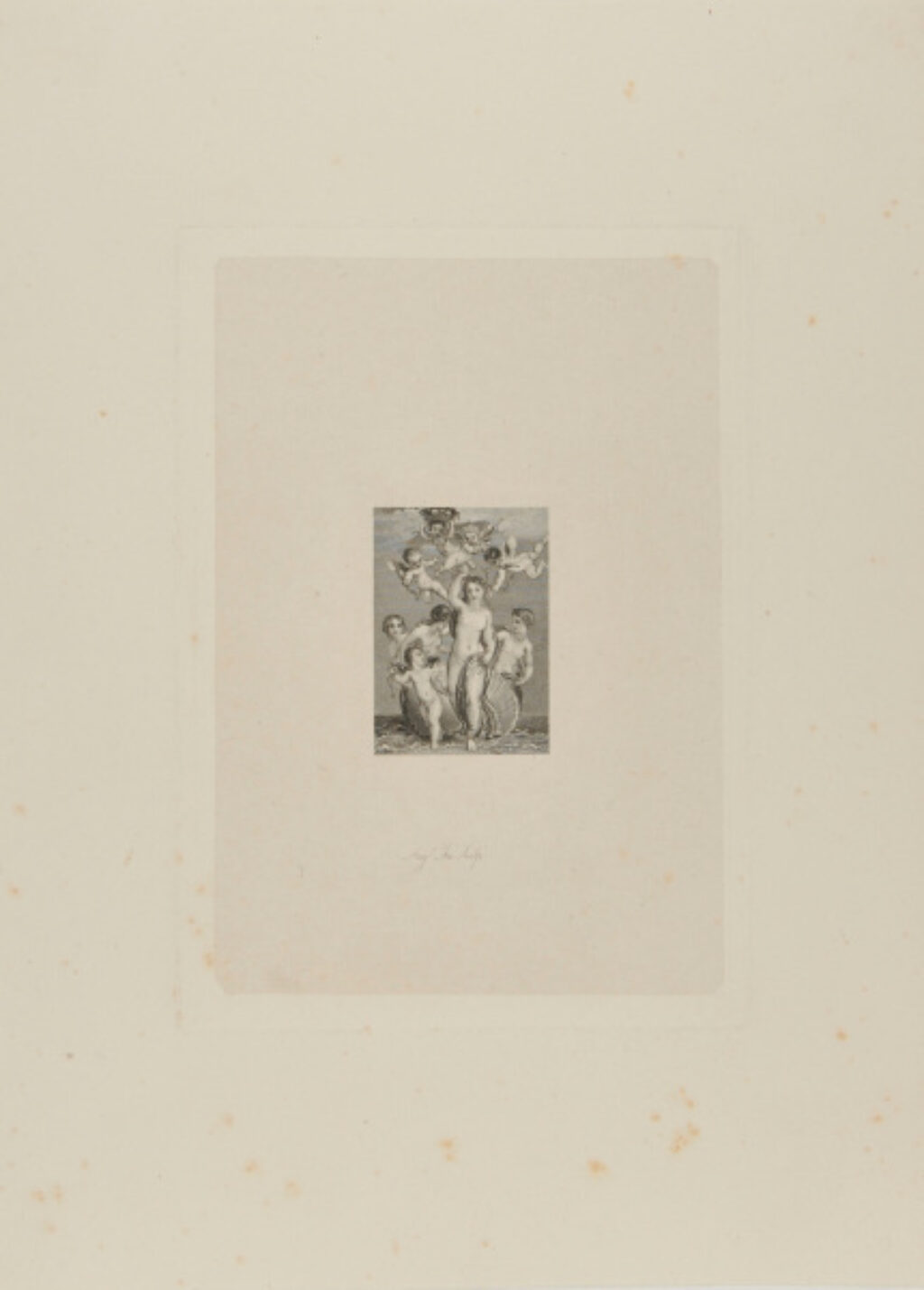 Venus Rising from the Sea