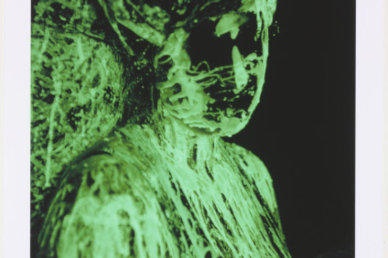 AREAS FOR ACTION, DAY 16: PHOSPHORESCENT GROUP; CLOSE-UP #1