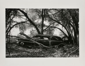 From the portfolio “Teenage Lust”