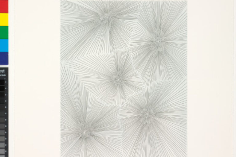 NO MAN'S LAND, STATE FIVE