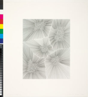 No Man’s Land, state six