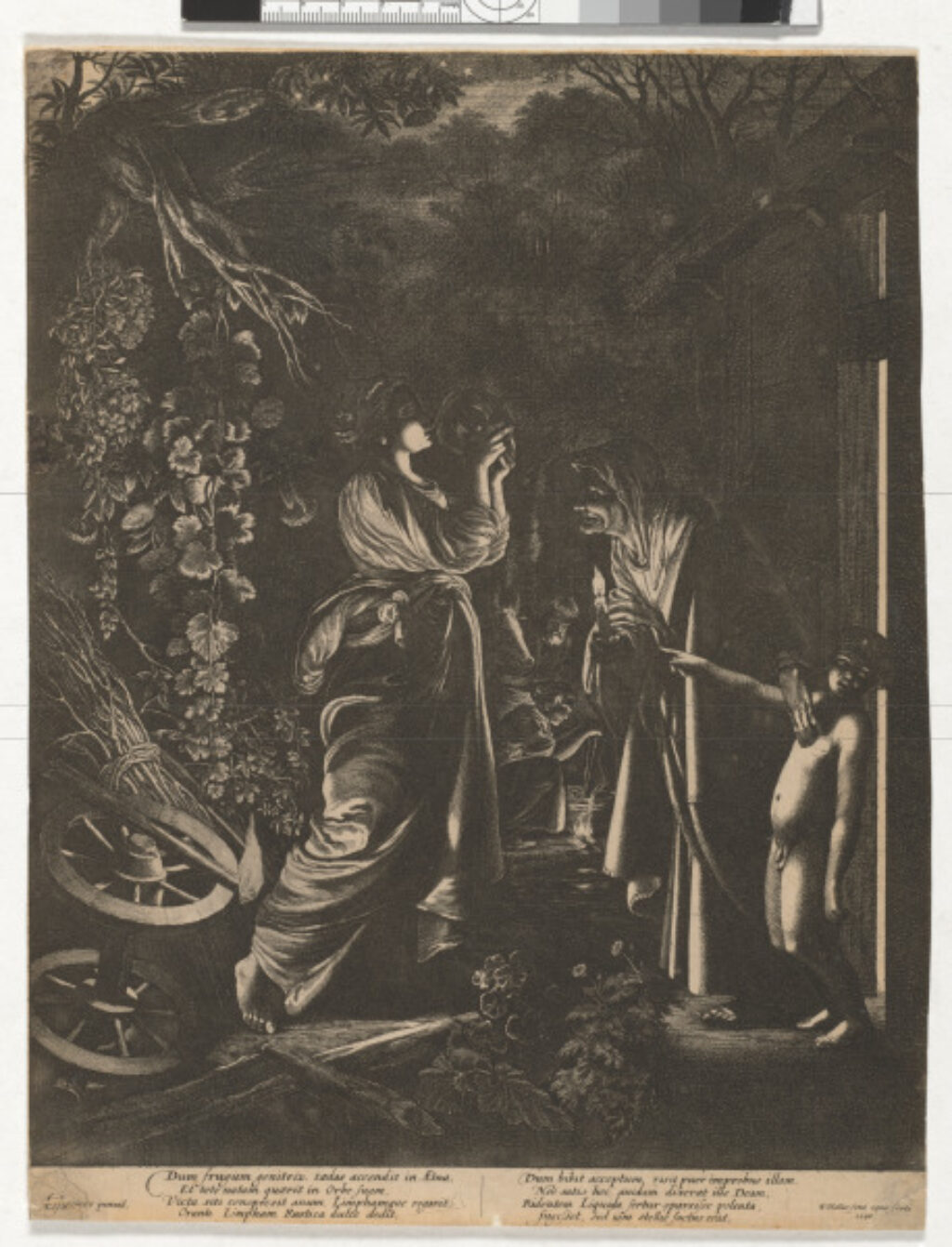 Stellio Changed into a Lizard by Ceres