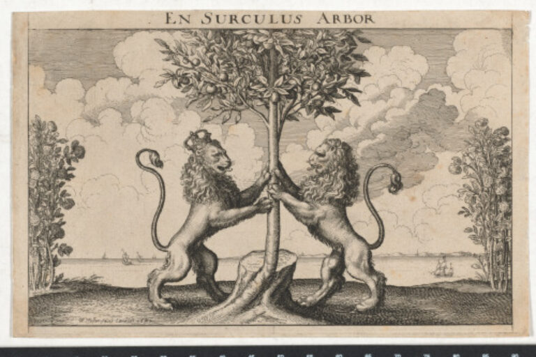 THE LIONS OF ENGLAND AND HOLLAND