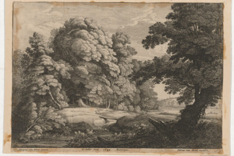 THE BRIDGE OVER THE WATERFALL