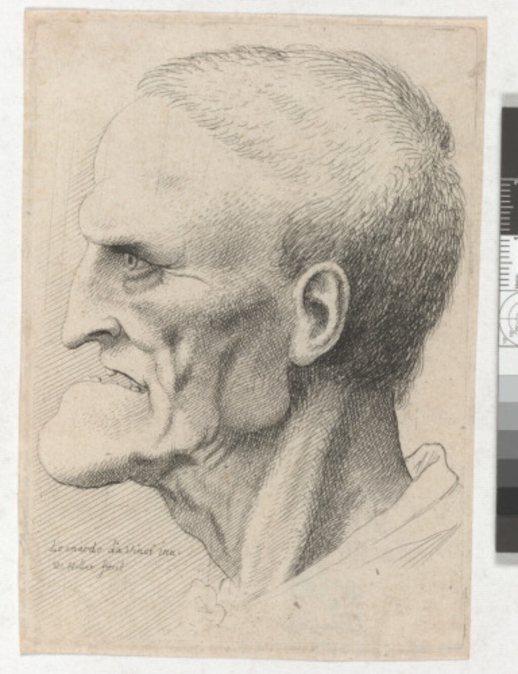 Head of an Old Man with Pronounced Chin, Short Cropped Hair and Gaping Mouth Showing Teeth in Profile to Left
