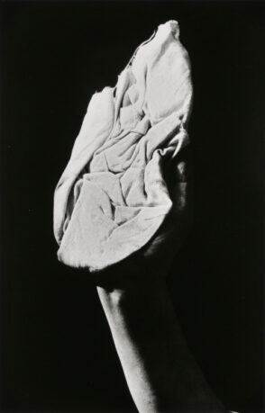 Window Washer, Paris