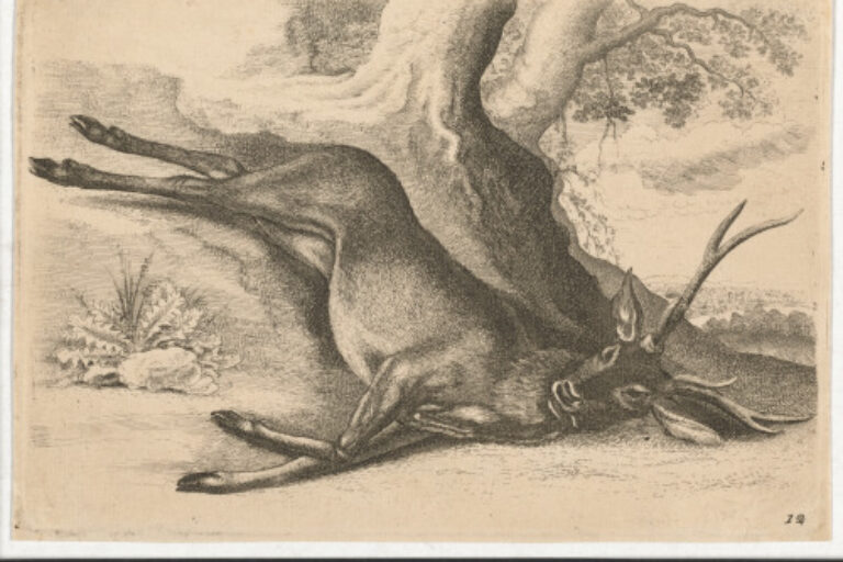 THE DEAD STAG