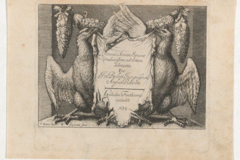 DIVERSAE AVIUM SPECIES PER FRA BARLOW