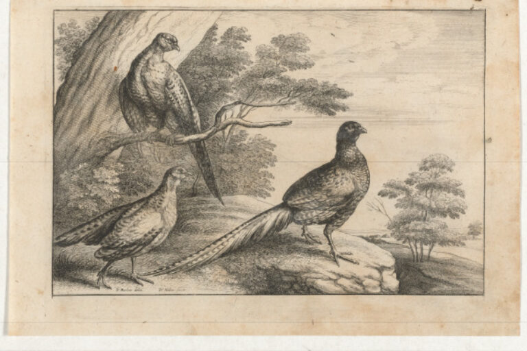 THE THREE PHEASANTS