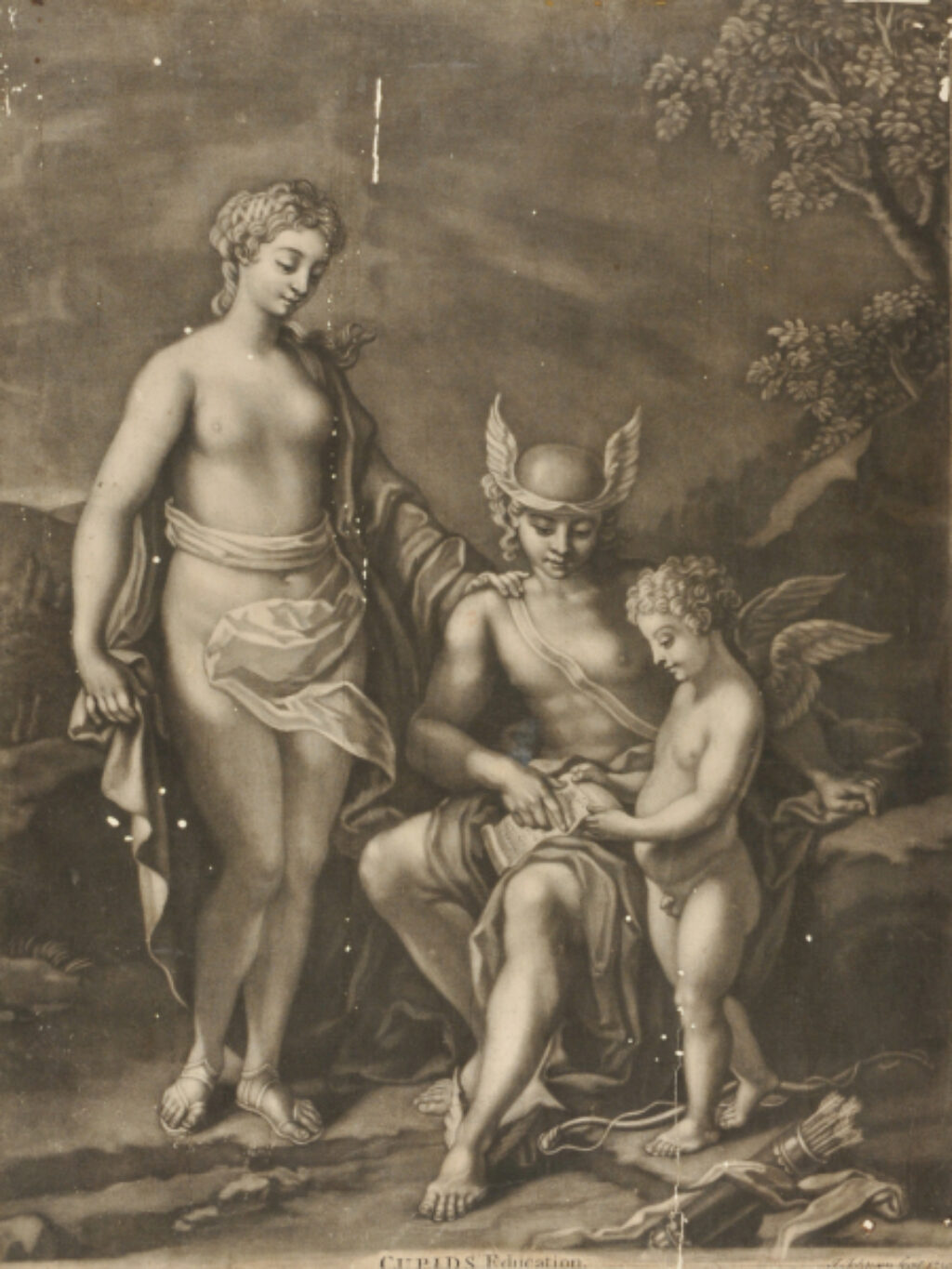 Cupid’s Education