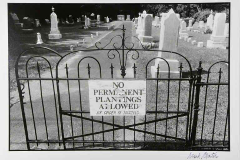NO PERMANENT PLANTINGS, NEW YORK STATE, 1984