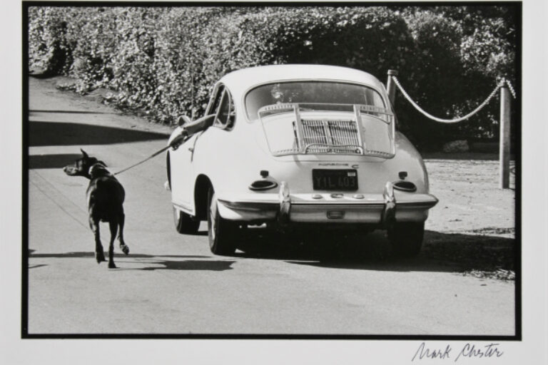 WALKING THE DOG, SAN FRANCISCO, CALIFORNIA, 1975