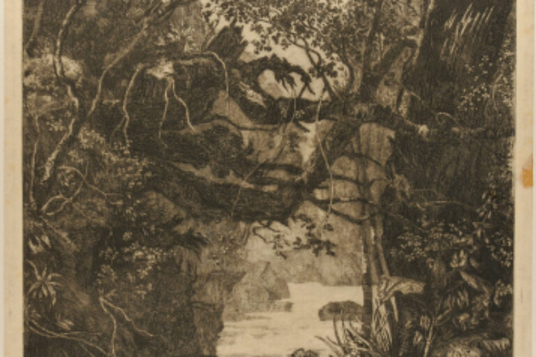 RIVER IN FOREST