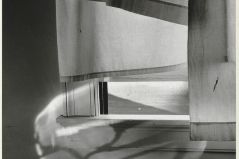 WINDOWSILL DAYDREAMING (72 N. UNION STREET, ROCHESTER)