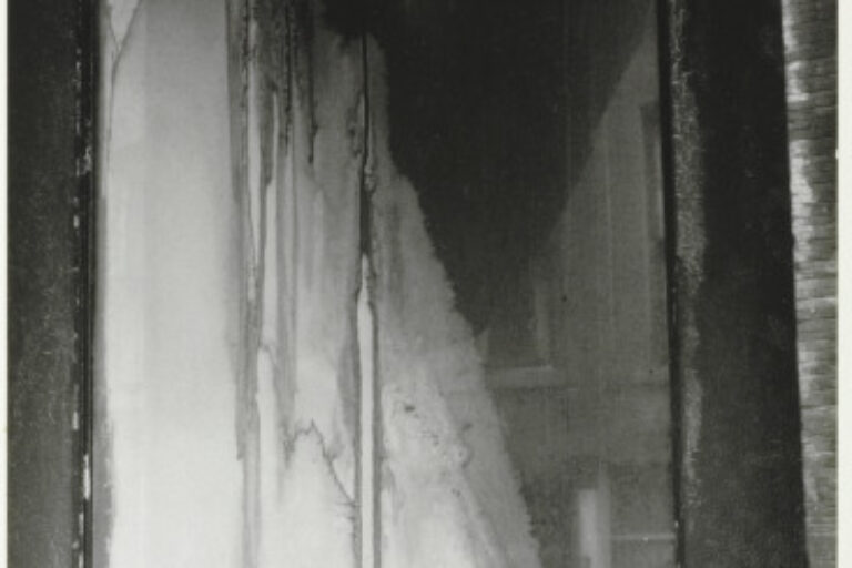 ABSTRACTION FROSTED DOOR (BATAVIA, NEW YORK)
