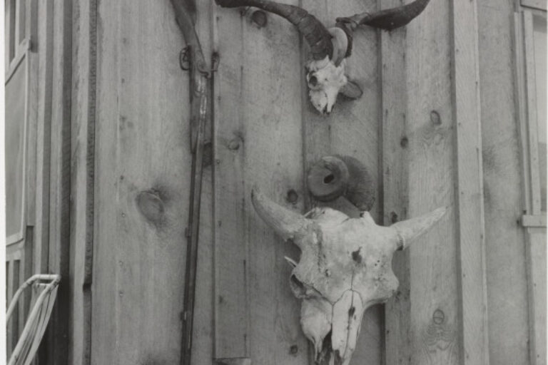 SIDE OF CATES' NEW HOUSE, MALHEUR COUNTY, OREGON