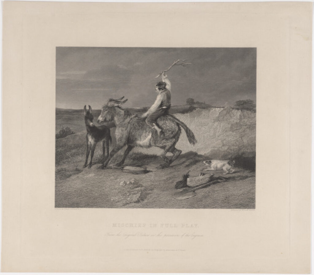 Mischief in Full Play