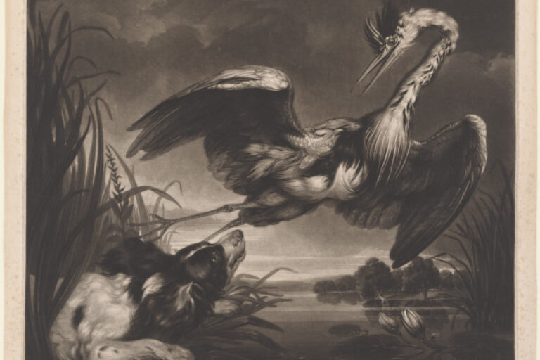 HUNTING DOG AND A HERON