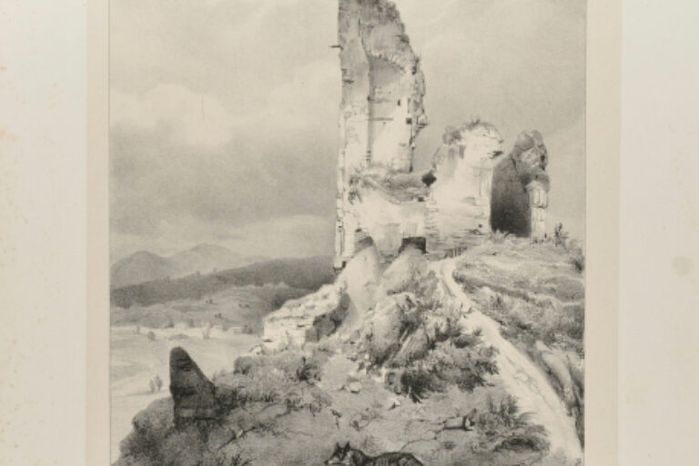 RUINES DU CHÂTEAU DE NOZEROY