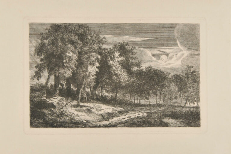 MOONLIGHT LANDSCAPE WITH TREES ALONG A ROAD