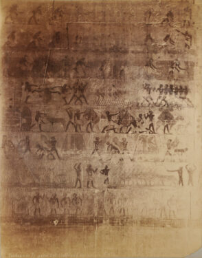 Saqqara, Tomb of Ti, East Wall (Agricultural Scene), 5th Dynasty