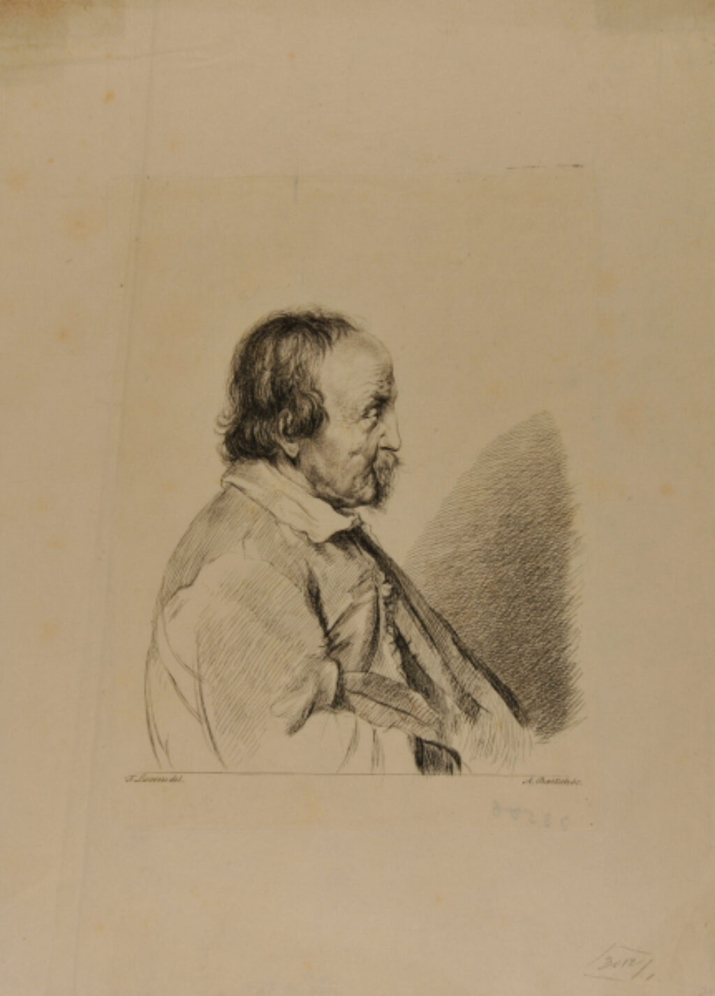 Profile Portrait of a Man