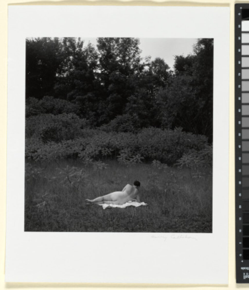 Eleanor, Port Huron - Image 1