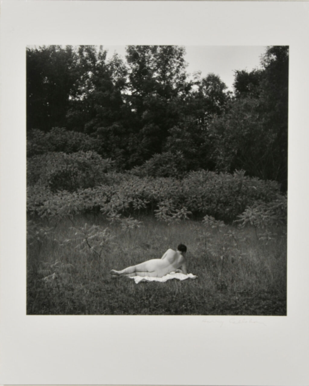 Eleanor, Port Huron - Image 2