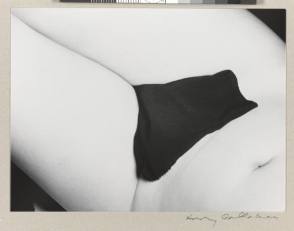 Eleanor, Chicago - Image 1