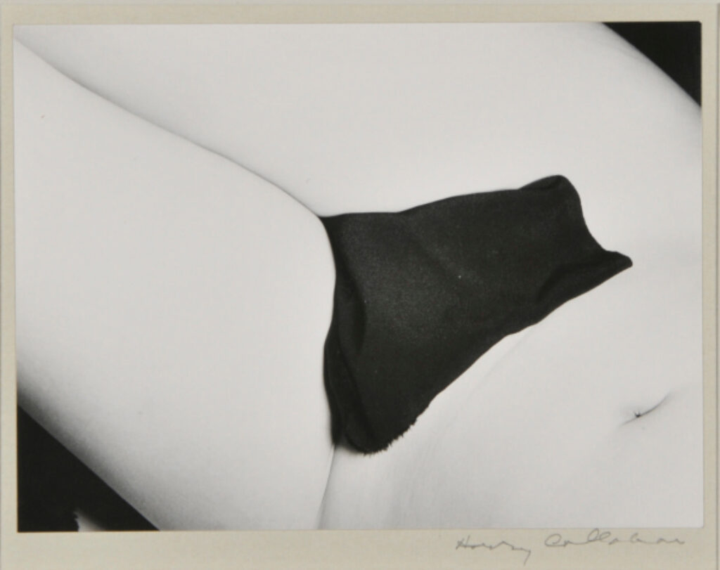 Eleanor, Chicago - Image 2