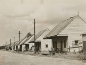 Row of Negro Cabins near Destrehan, Louisiana