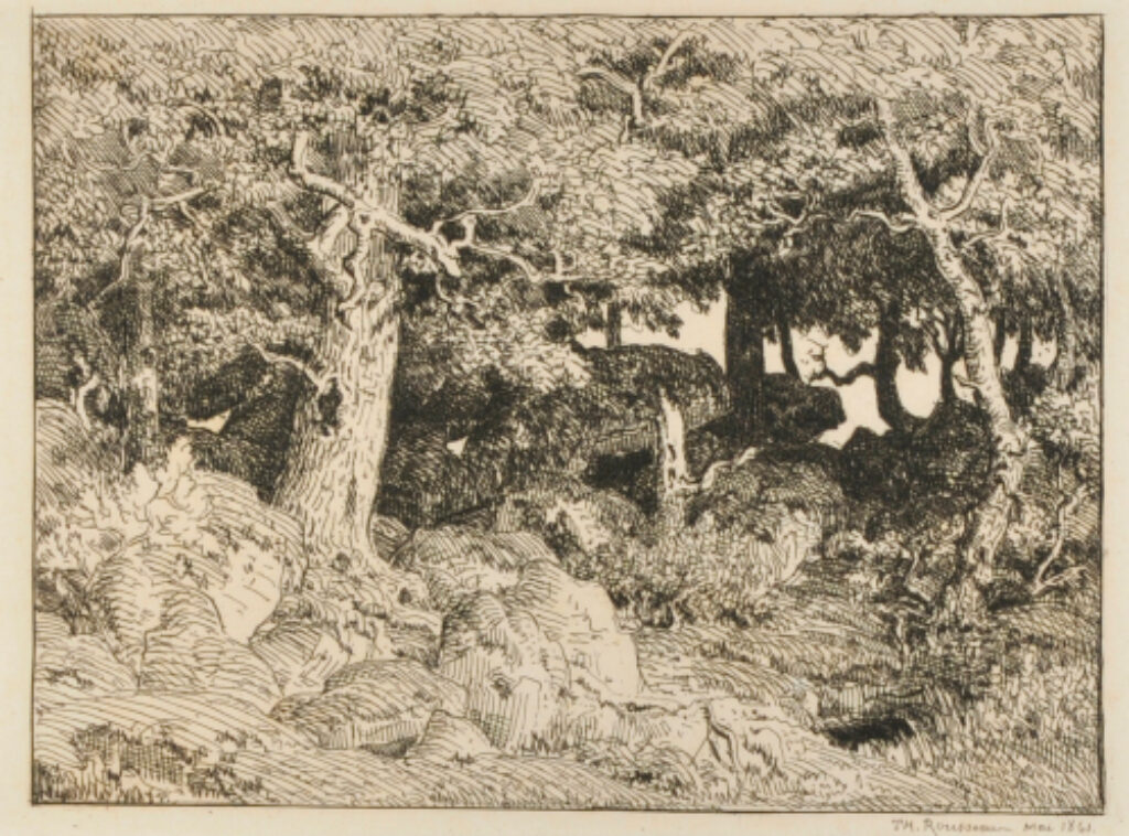 The Oak Forest of the Rock - Image 2