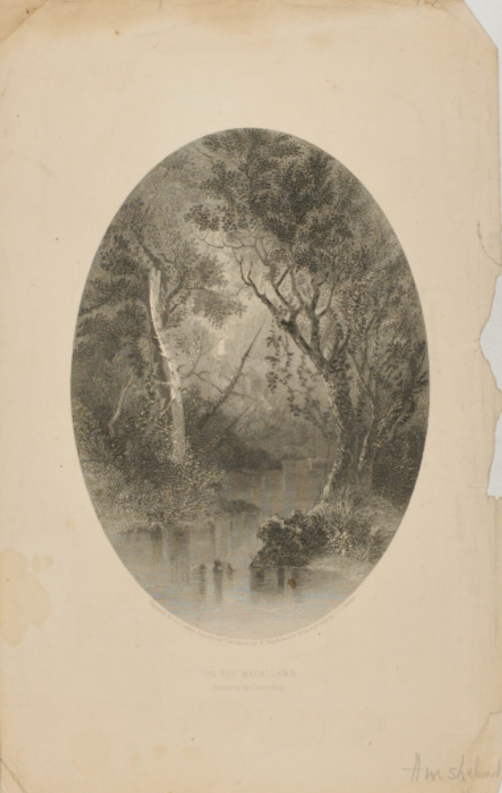 On the Magallawa, Source of the Connecticut