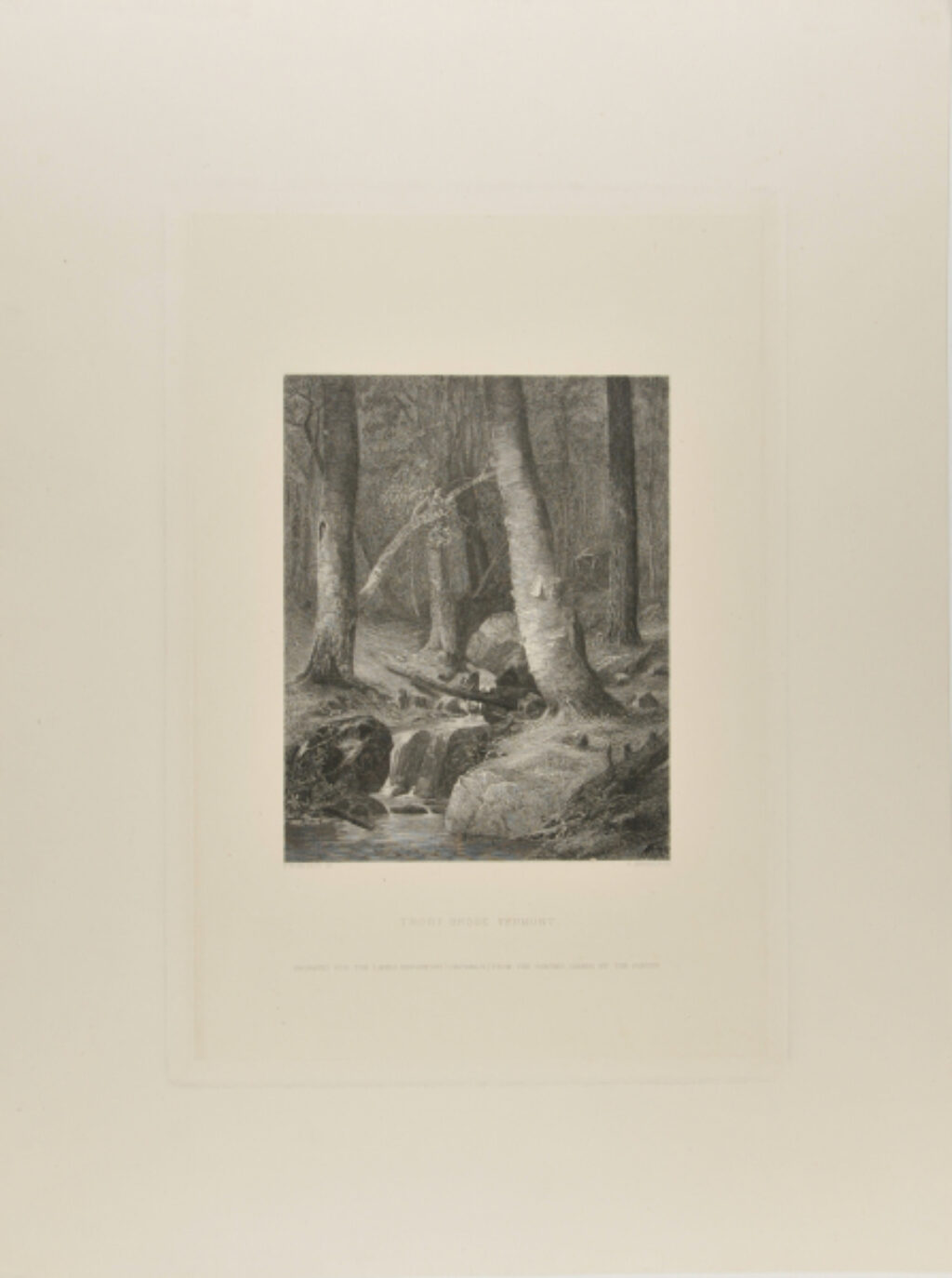 Trout Brook, Vermont